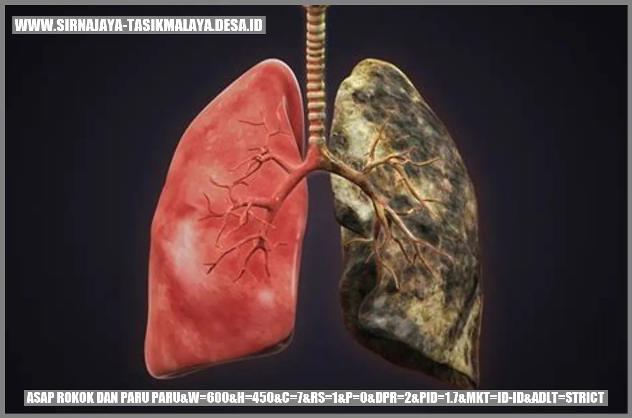 Dampak Asap Rokok Terhadap Kesehatan Perokok