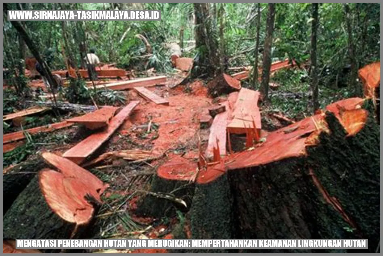 Mempertahankan Hutan Lestari