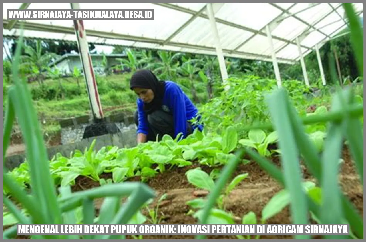 Mengenal Lebih Dekat Pupuk Organik: Inovasi Pertanian di Agricam Sirnajaya