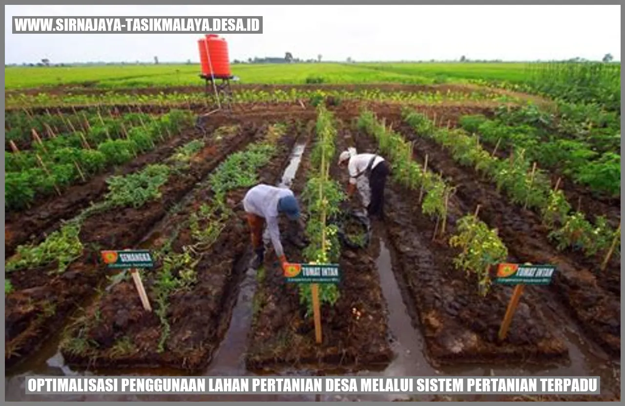 Optimalisasi Penggunaan Lahan Pertanian Desa melalui Sistem Pertanian Terpadu