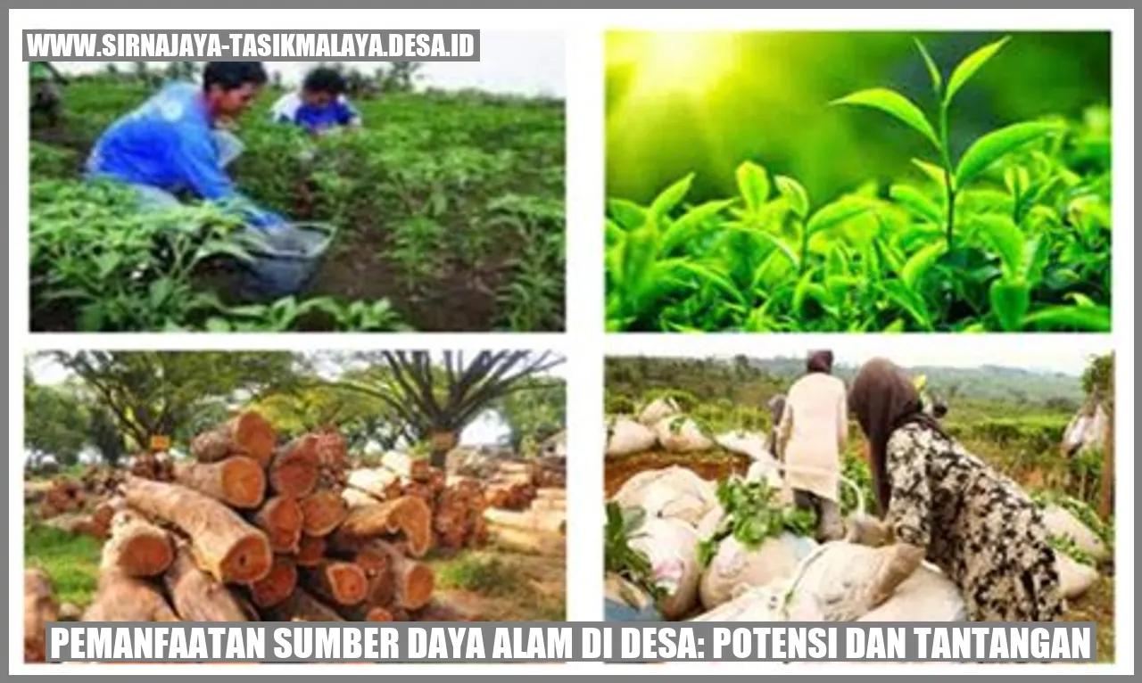 Pemanfaatan SDM Desa: Potensi dan Tantangannya.