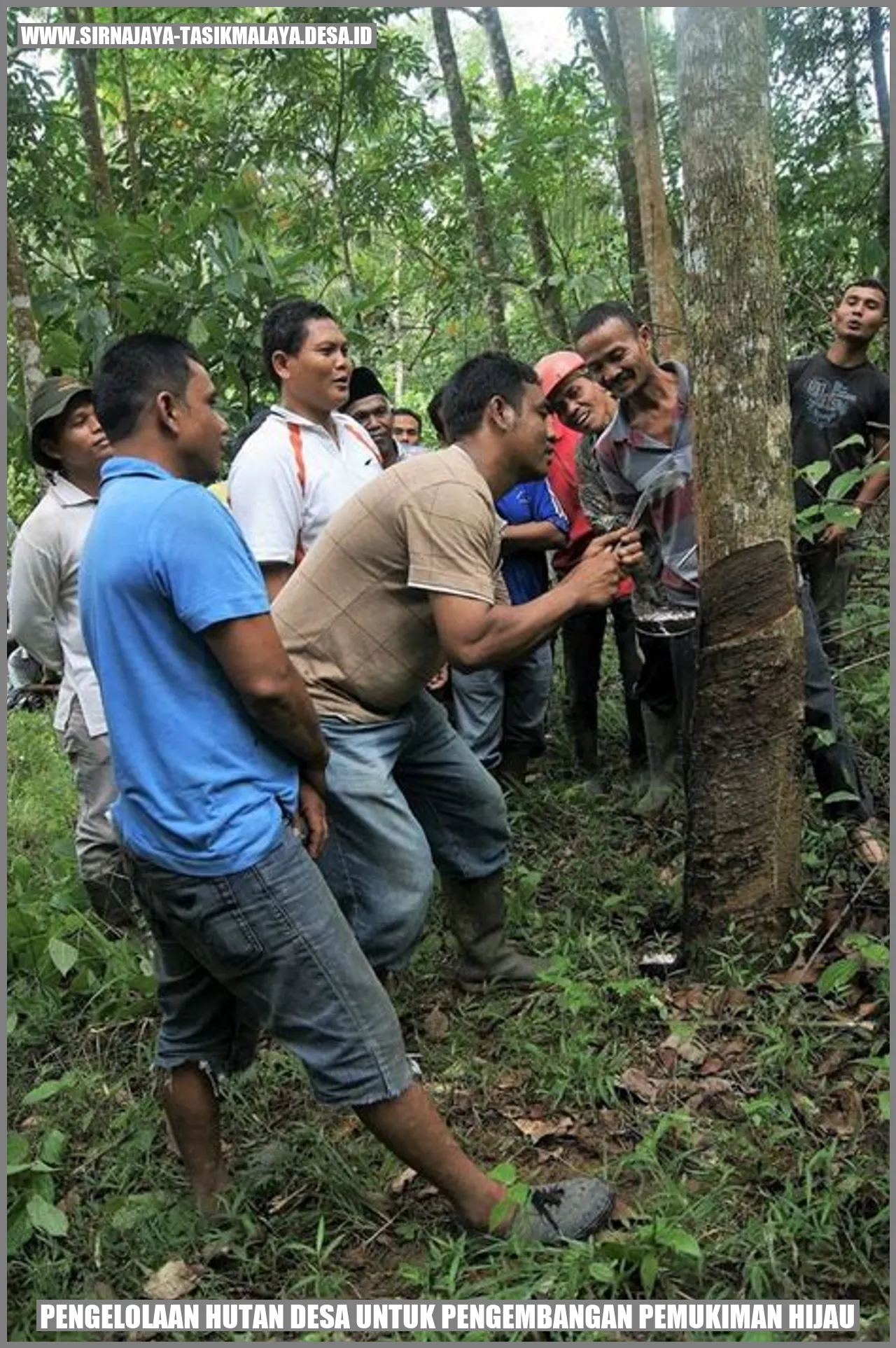 PENGEMBANGAN PEMUKIMAN HIJAU MELALUI PENGELLOLAAN HUTAN DESA DI DESA SIRNAJAYA