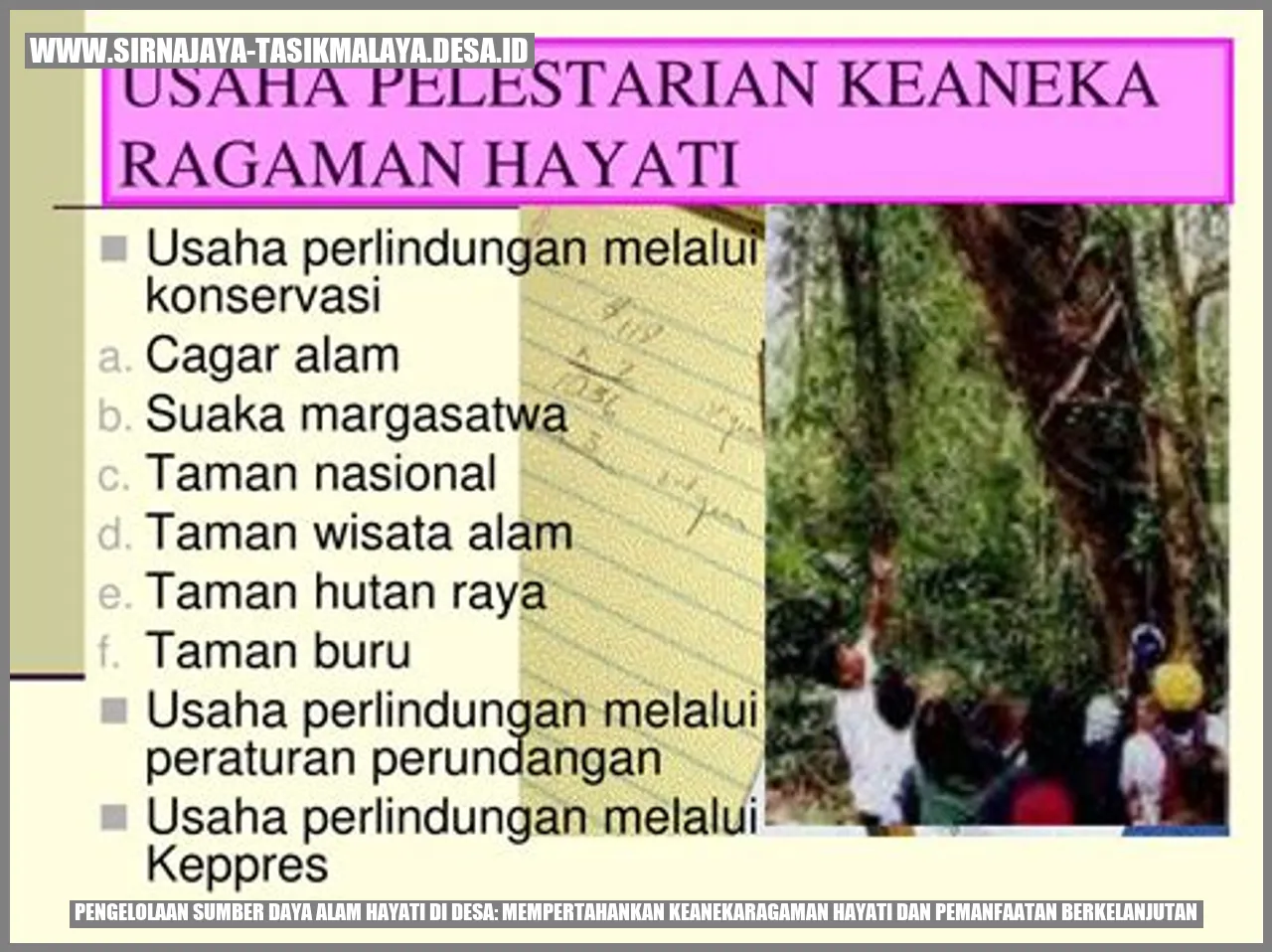 Pengelolaan Sumber Daya Alam Hayati di Desa: Mempertahankan Keanekaragaman Hayati dan Pemanfaatan Berkelanjutan