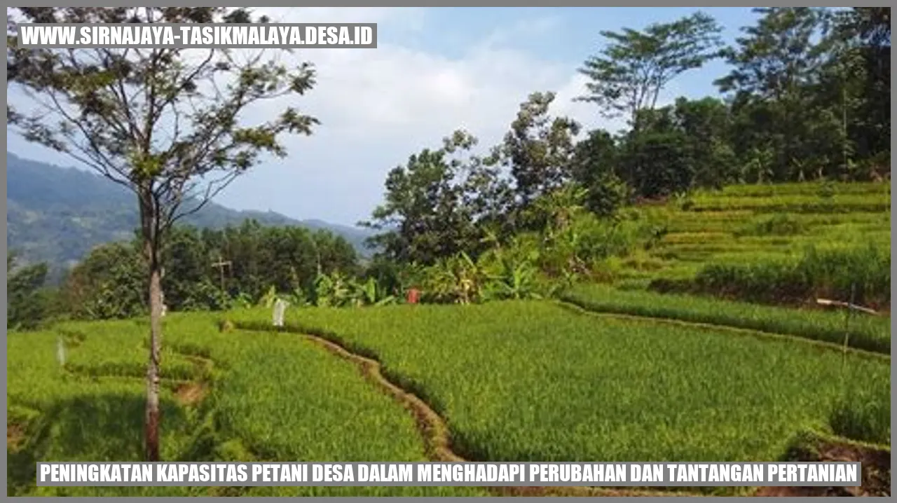 Petani Desa Sirnajaya, Kabupaten Tasikmalaya