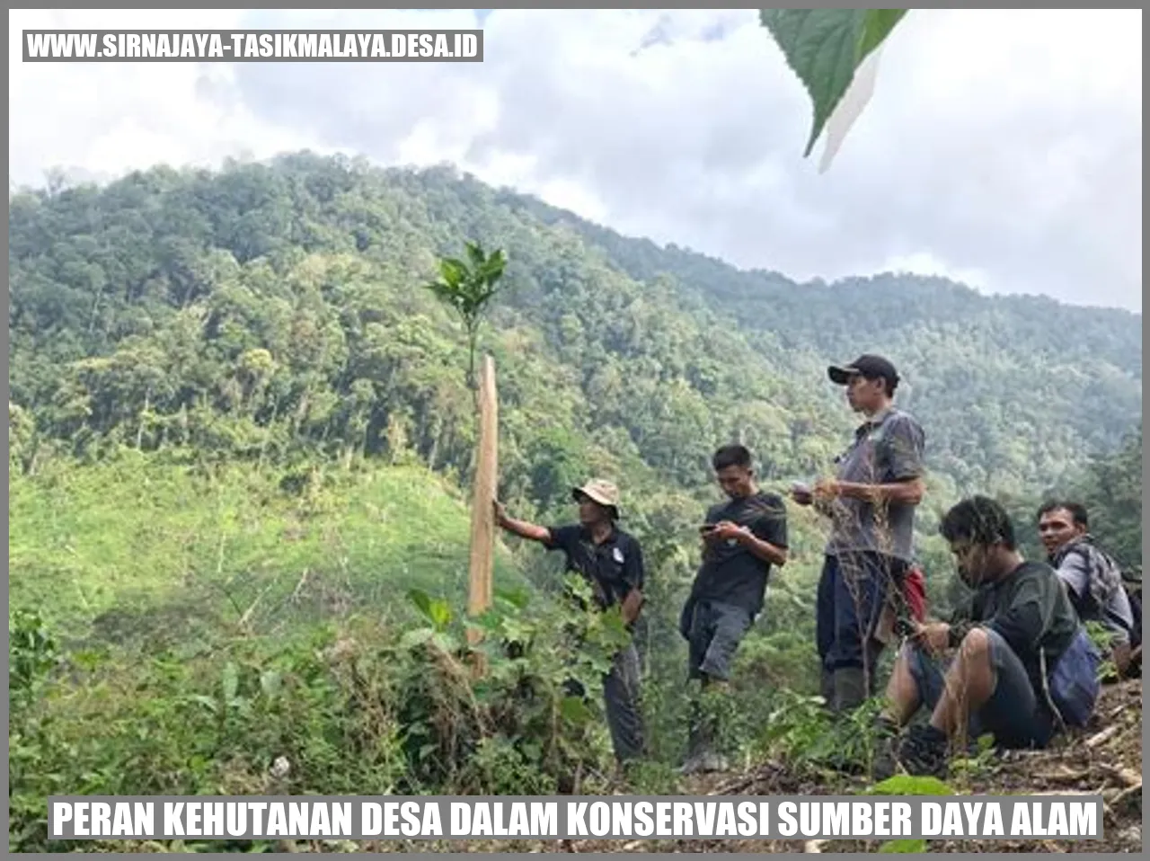 Peran Kehutanan Desa dalam Konservasi Sumber Daya Alam