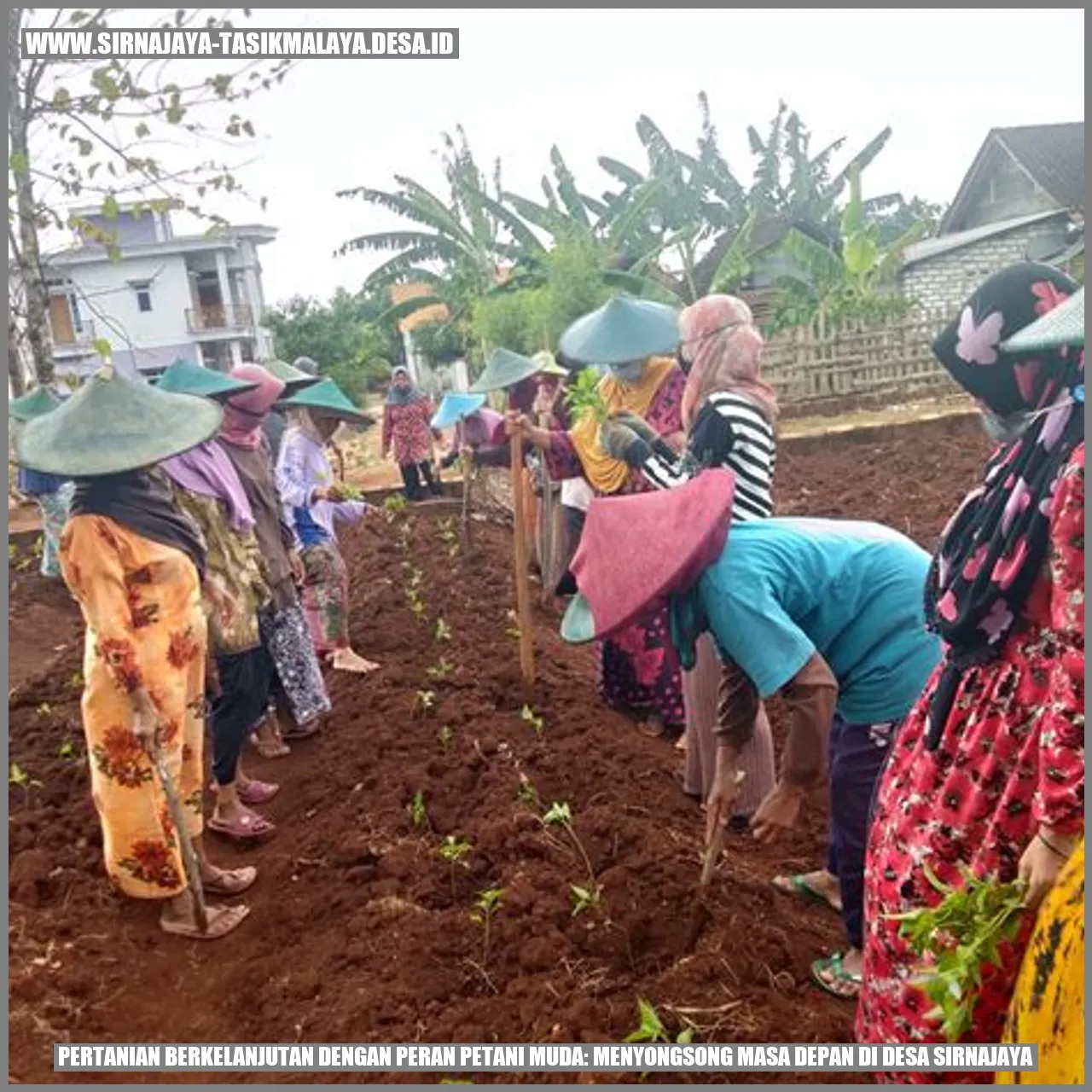 Pertanian Berkelanjutan: Petani Muda Menuju Masa Depan Desa