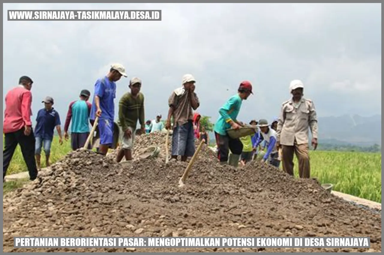 Pertanian Berorientasi Pasar: Mengoptimalkan Potensi Ekonomi di Desa Sirnajaya