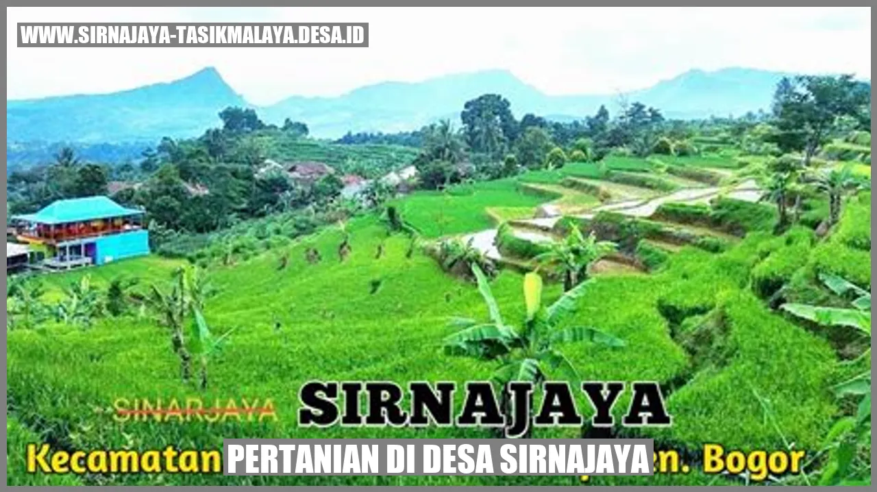 Pertanian di Desa Sirnajaya