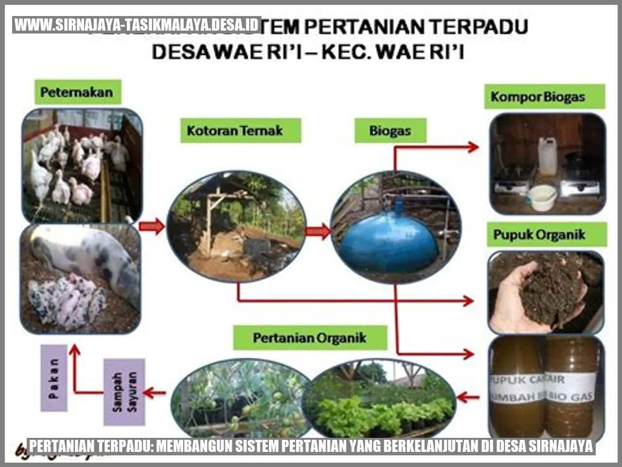 Potensi Pertanian di Desa Sirnajaya