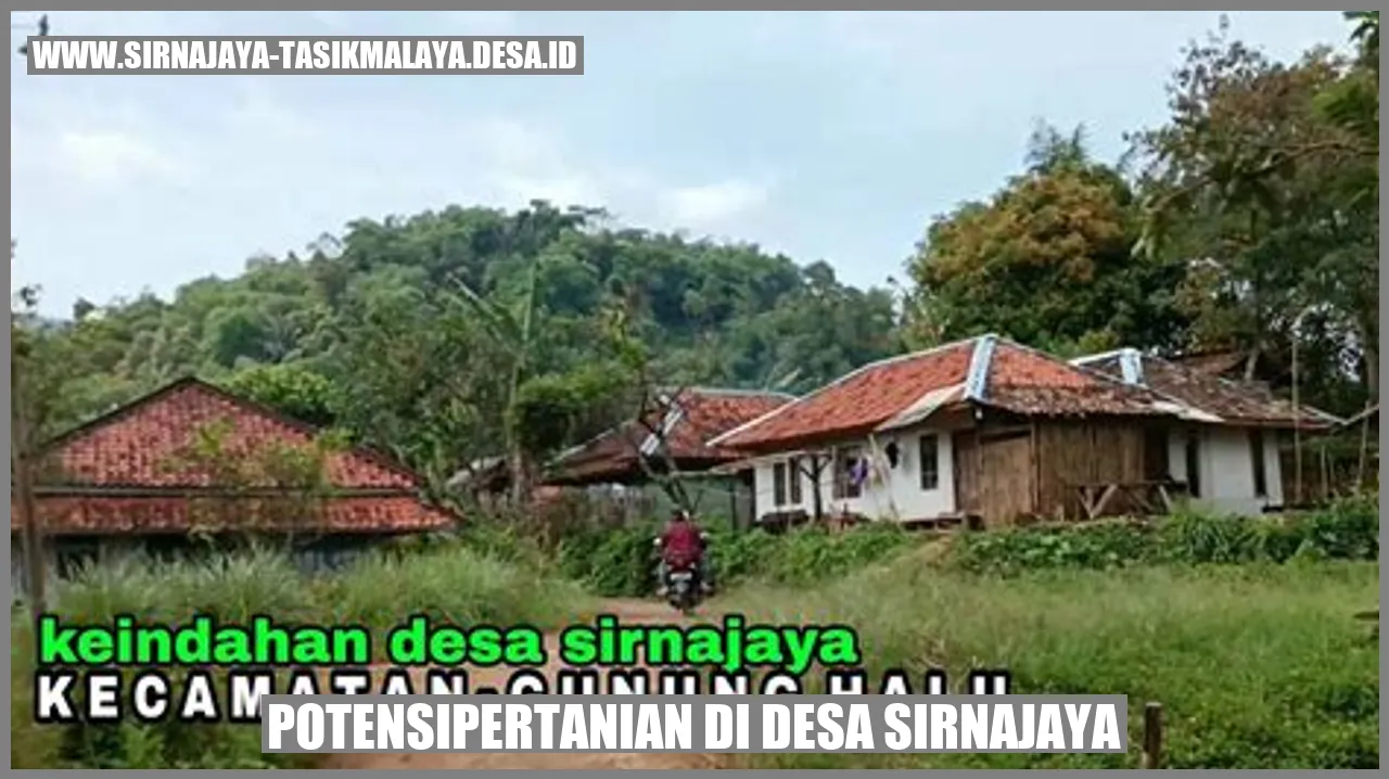 Potensi Pertanian di Desa Sirnajaya