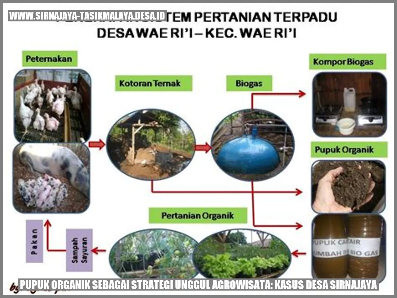 Pupuk Organik sebagai Strategi Unggul Agrowisata: Kasus Desa Sirnajaya